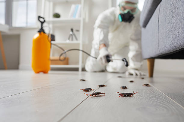 Trusted Fumigation Services service in Lake Nacimiento, CA - Nex Pest Control