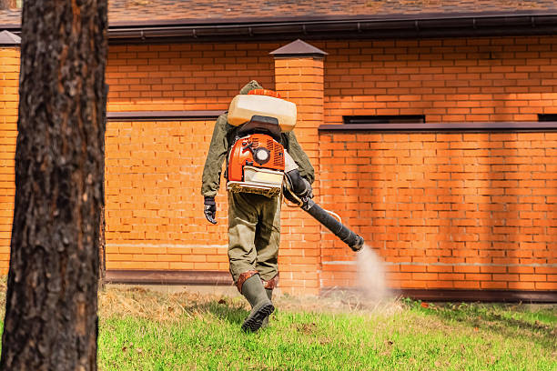 Trusted Cockroach Control service in Lake Nacimiento, CA - Nex Pest Control